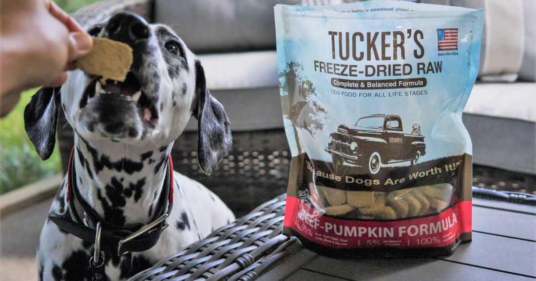 Benefits of Tucker's Freeze-Dried Dog Food