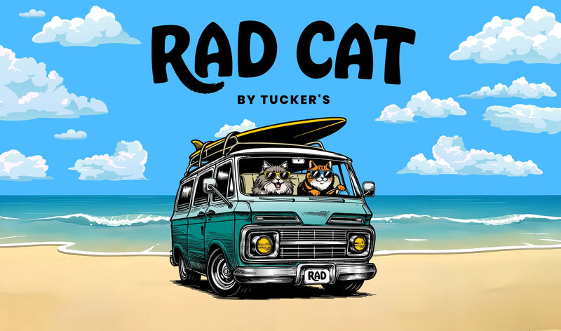 Rad Cat