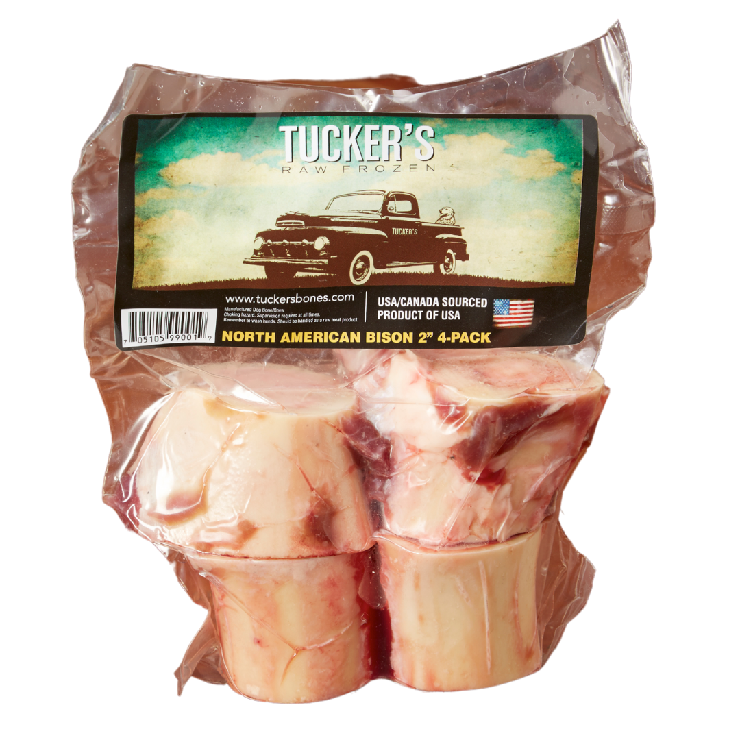 Bison Bones