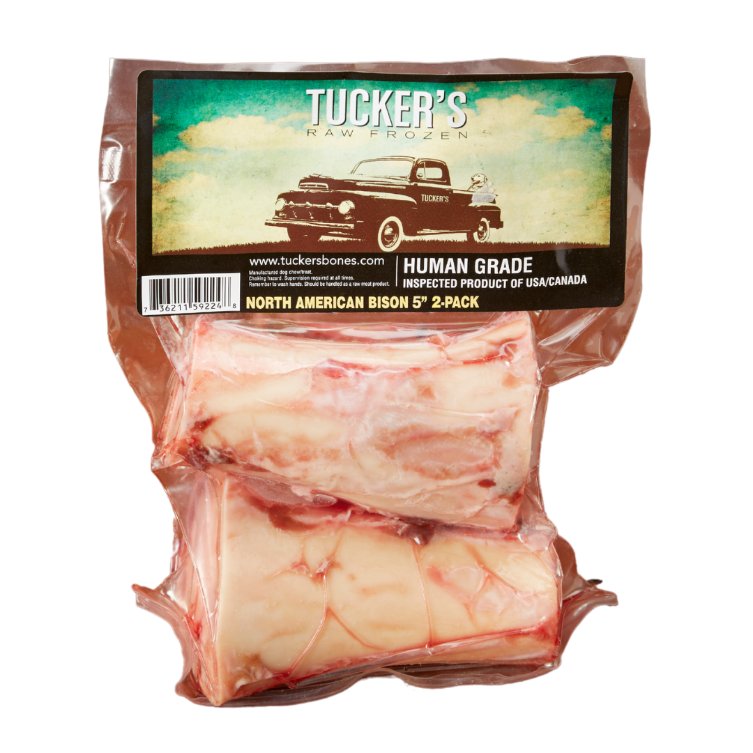 Bison Bones
