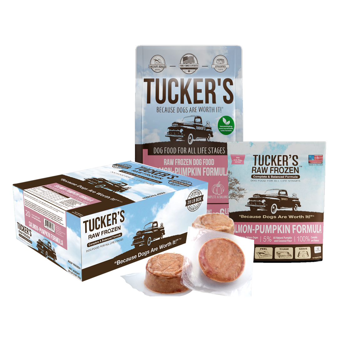 Salmon-Pumpkin Raw Frozen Diet