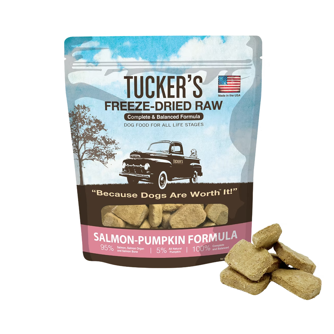 Salmon-Pumpkin Freeze-Dried Diet